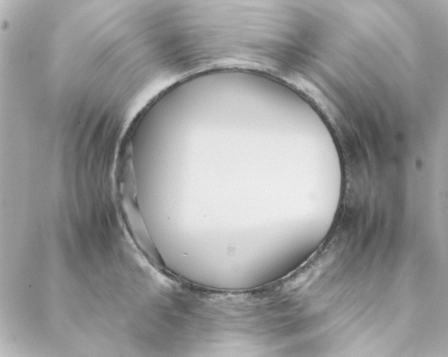 X0000088170902200706051113