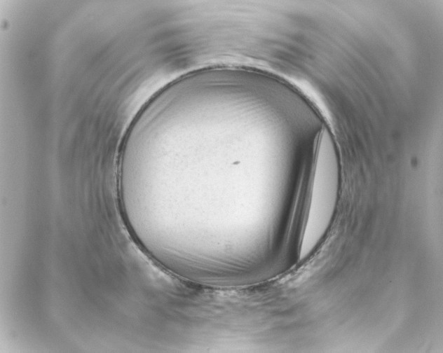 X0000088170903200706051113