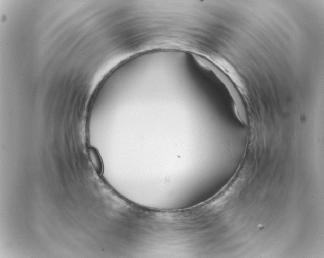 X0000088170904200706051113