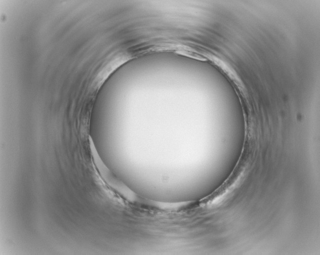 X0000088170905200706051113