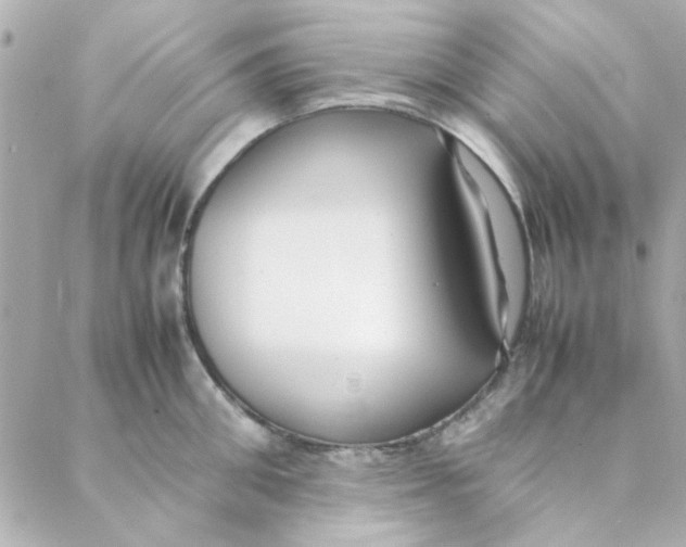 X0000088170906200706051113