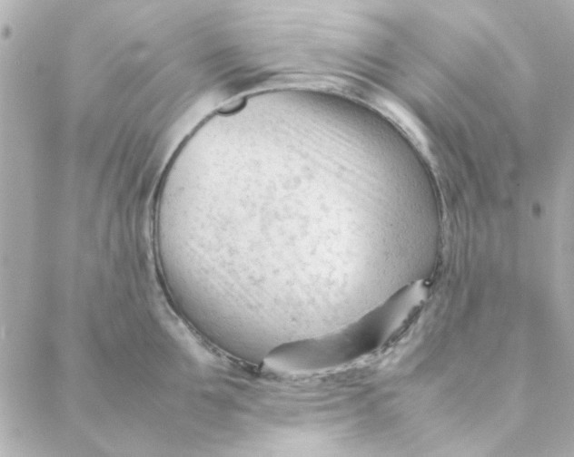 X0000088170907200706051113