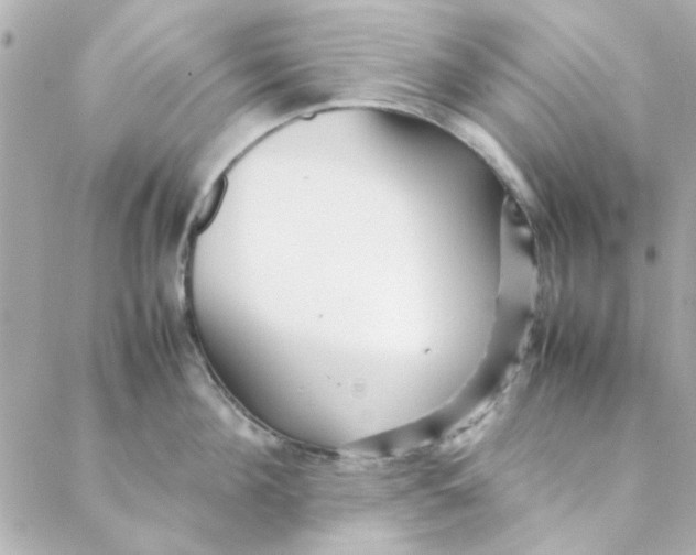 X0000088170908200706051113