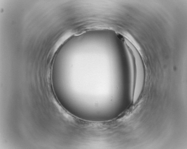 X0000088170909200706051113