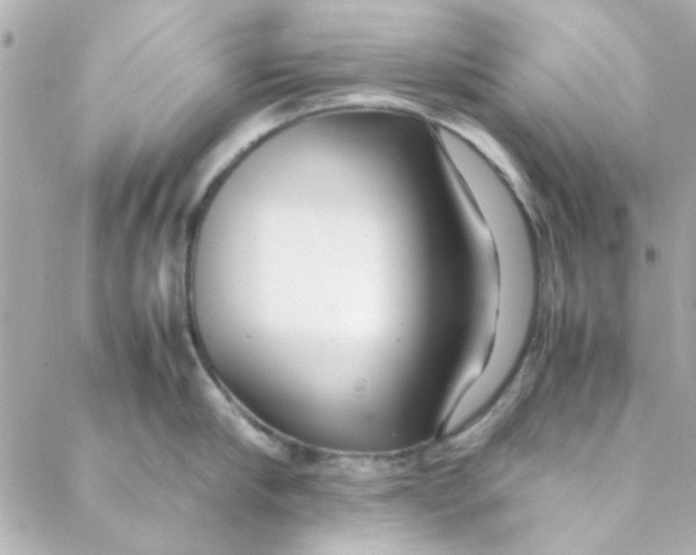 X0000088170910200706051113