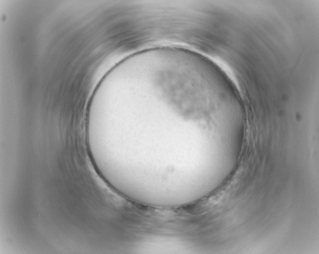 X0000088170911200706051113