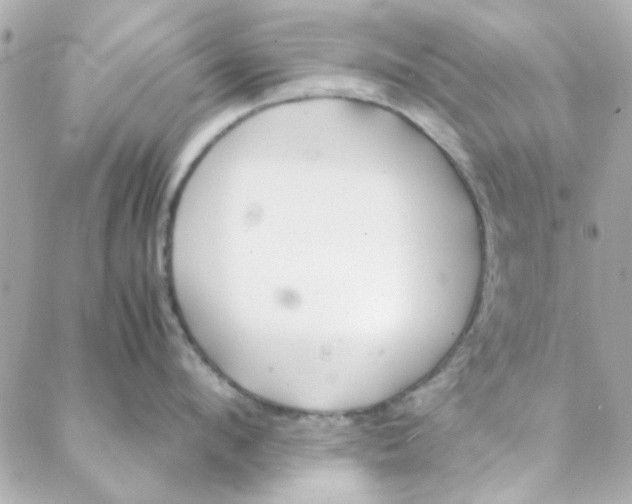 X0000088170912200706051113