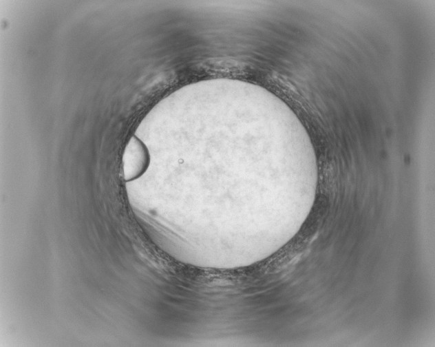 X0000088170913200706051112