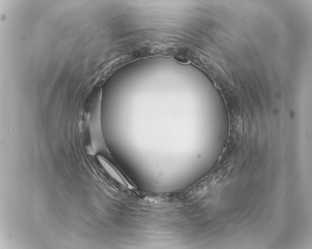 X0000088170914200706051112