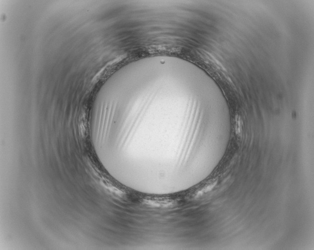 X0000088170915200706051112