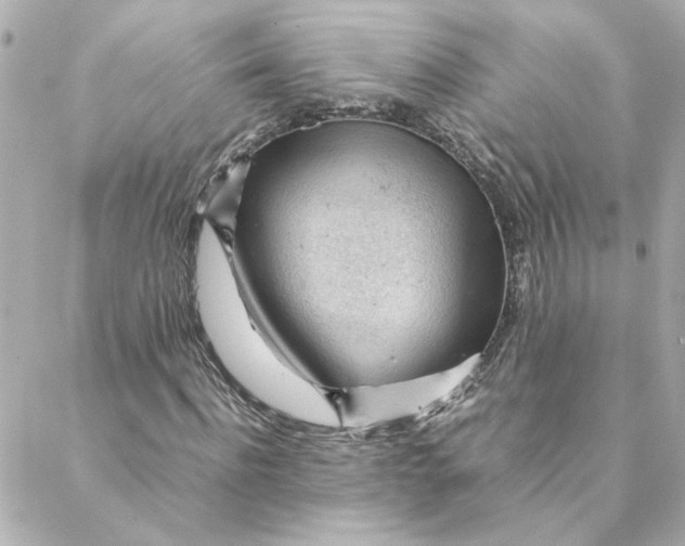 X0000088170916200706051112