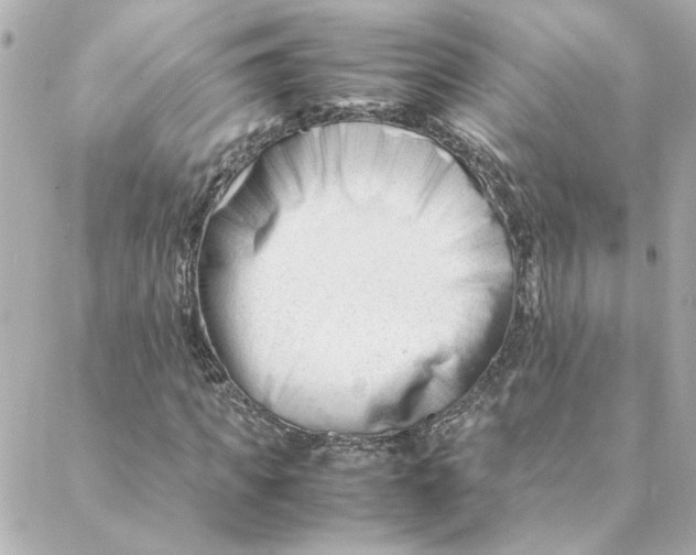 X0000088170917200706051112