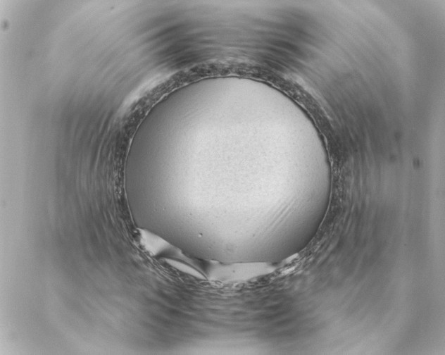 X0000088170919200706051112