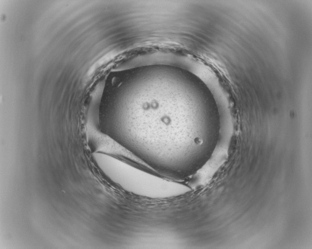 X0000088170920200706051112