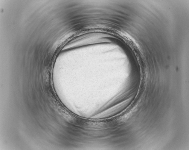 X0000088170921200706051113