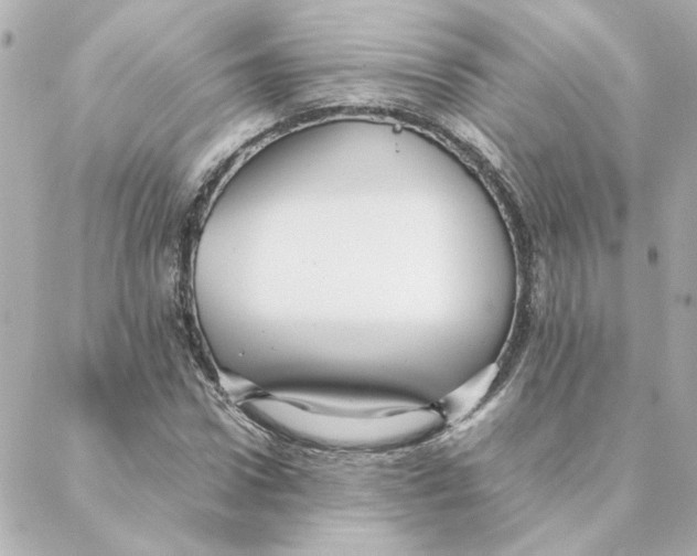 X0000088170922200706051113