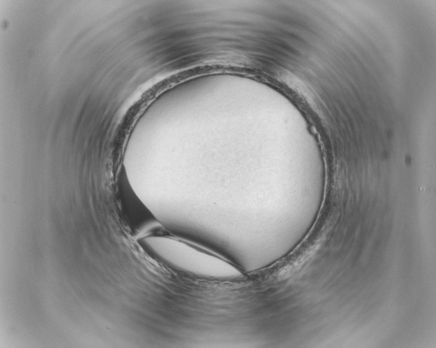 X0000088170923200706051113