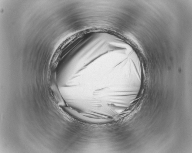 X0000088170924200706051113