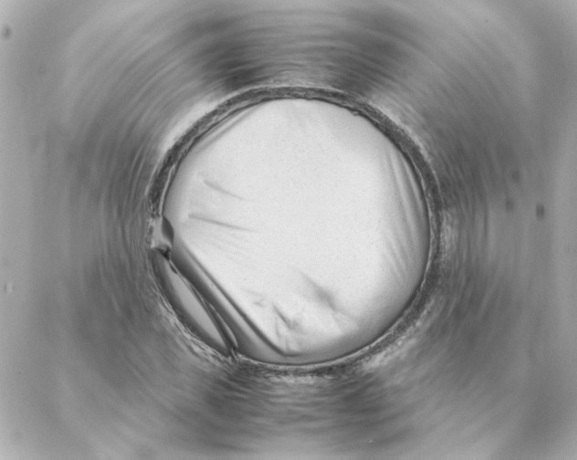 X0000088170925200706051113