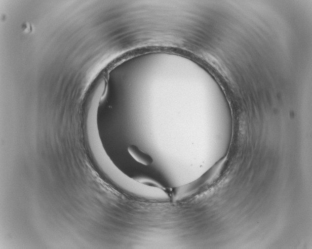 X0000088170926200706051113