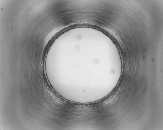 X0000088170927200706051113