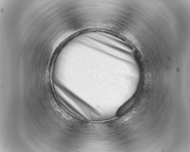 X0000088170928200706051113