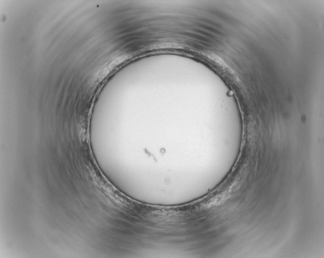 X0000088170929200706051113