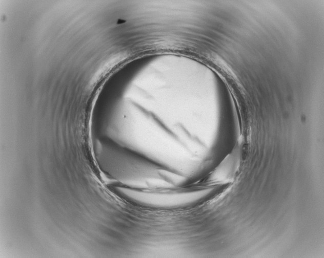 X0000088170930200706051113