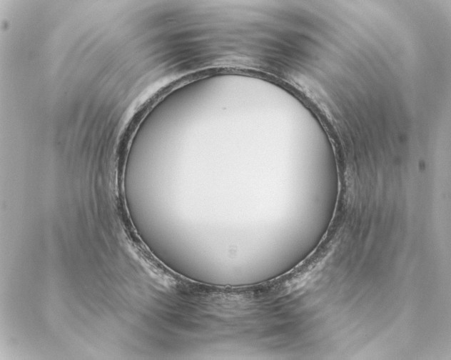 X0000088170931200706051113