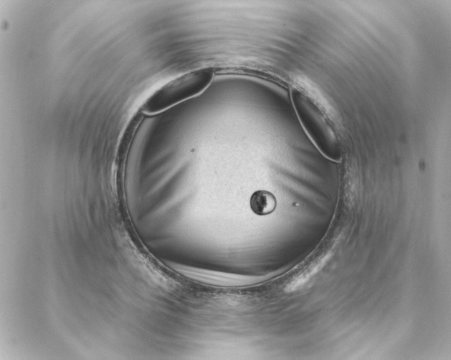 X0000088170932200706051113