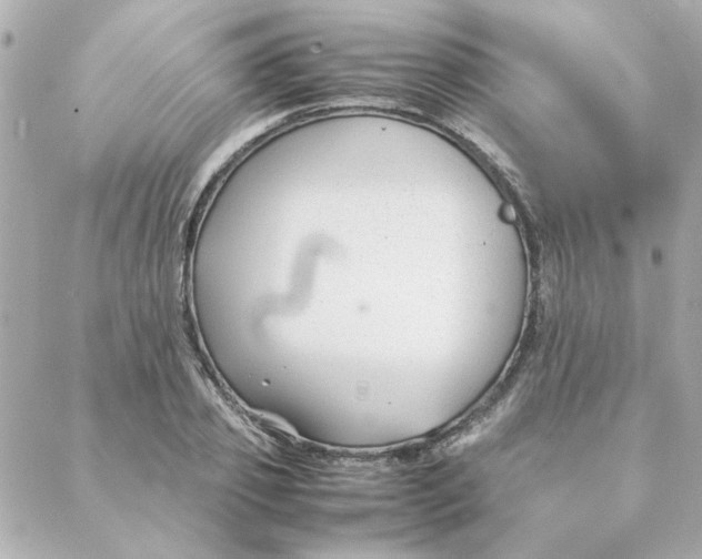 X0000088170933200706051113