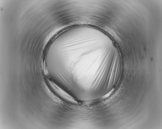 X0000088170934200706051113