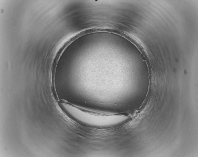 X0000088170935200706051113