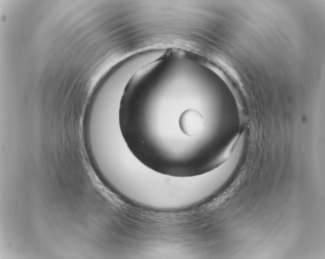 X0000088170936200706051113