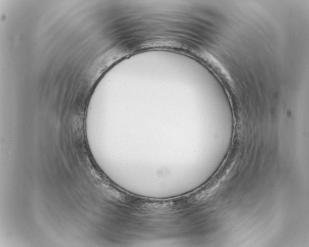 X0000088170937200706051113