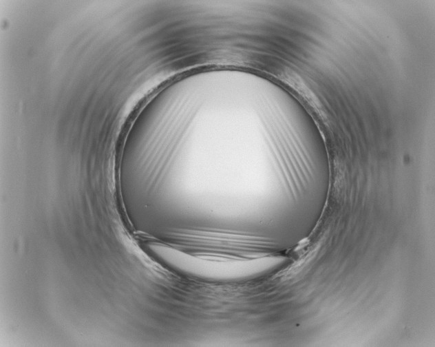 X0000088170939200706051113