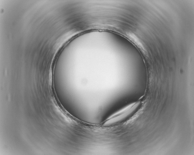 X0000088170940200706051113