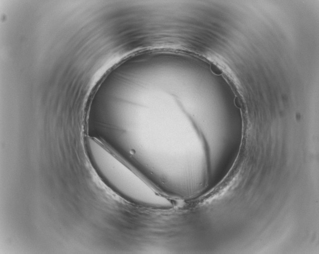 X0000088170941200706051113