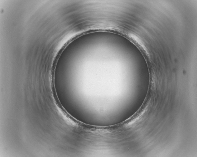 X0000088170942200706051113