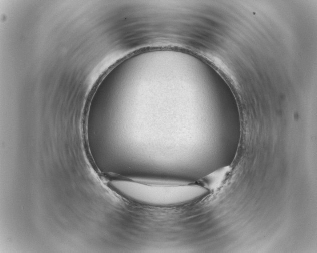 X0000088170943200706051113