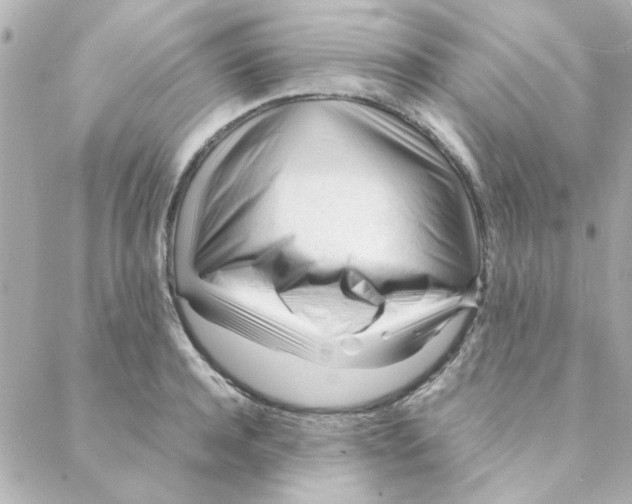 X0000088170944200706051113