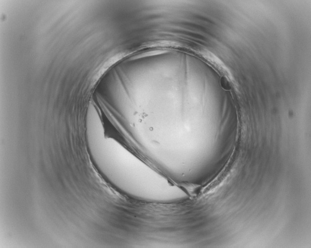 X0000088170945200706051113