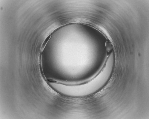 X0000088170946200706051113