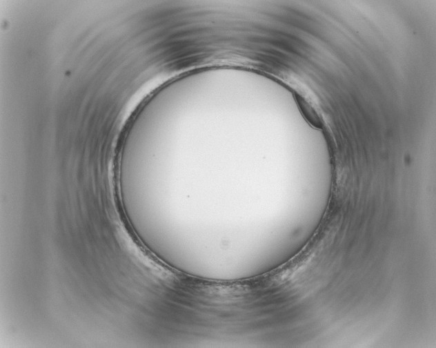 X0000088170947200706051113