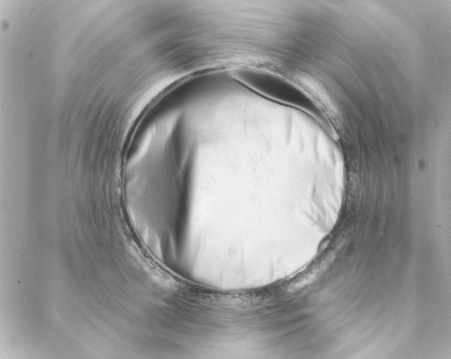 X0000088170948200706051113