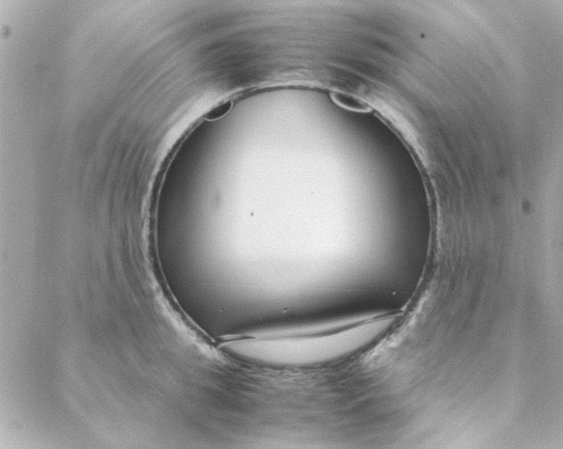 X0000088170949200706051113