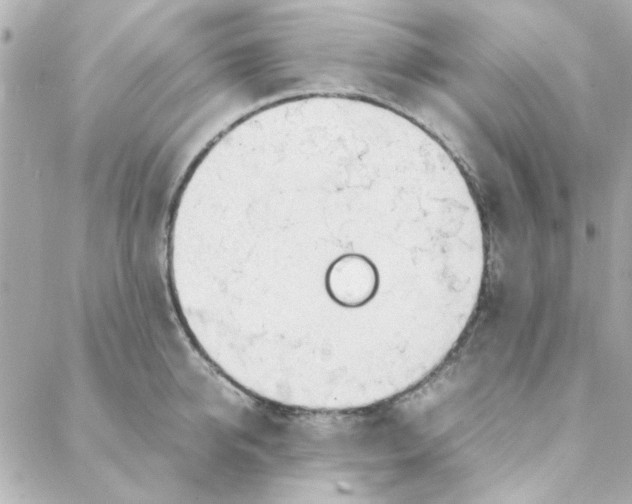 X0000088170950200706051113