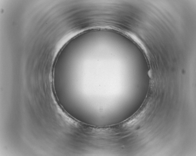 X0000088170951200706051113