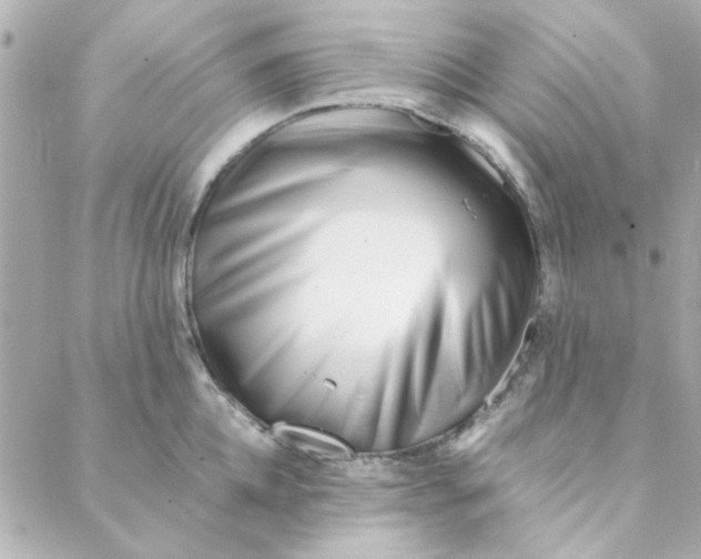 X0000088170952200706051113