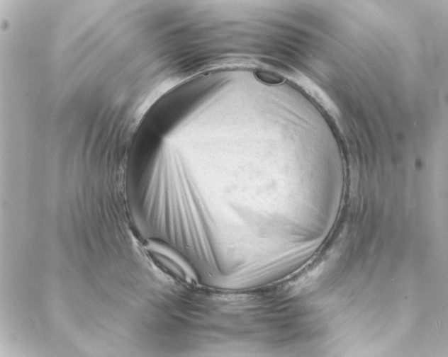 X0000088170953200706051113